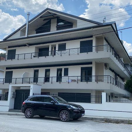 Ioannina Luxury Suites & Apartments المظهر الخارجي الصورة