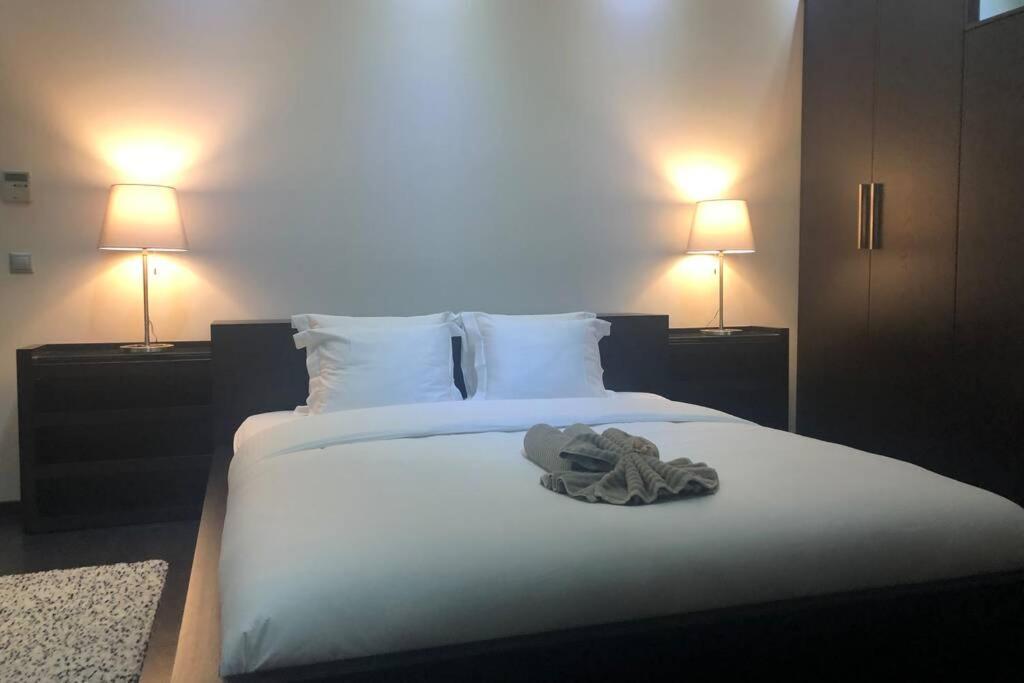 Ioannina Luxury Suites & Apartments المظهر الخارجي الصورة