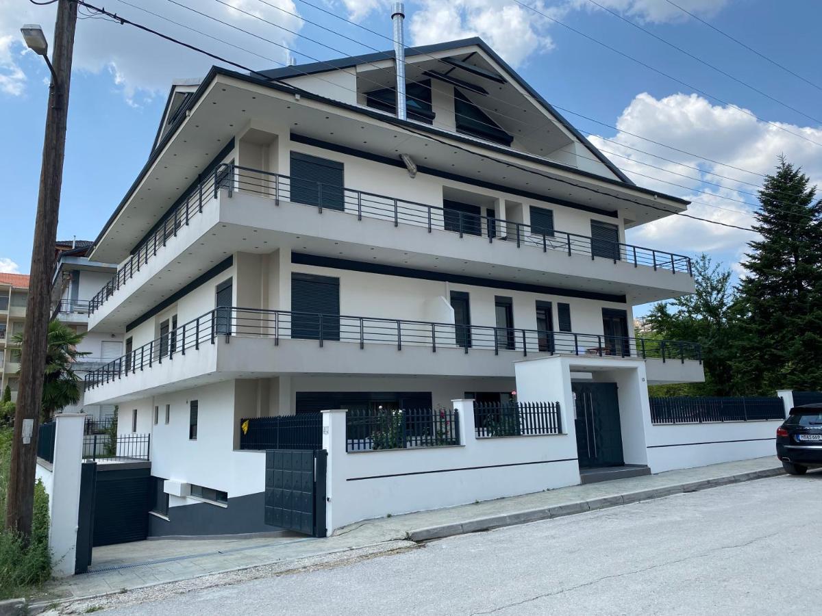 Ioannina Luxury Suites & Apartments المظهر الخارجي الصورة